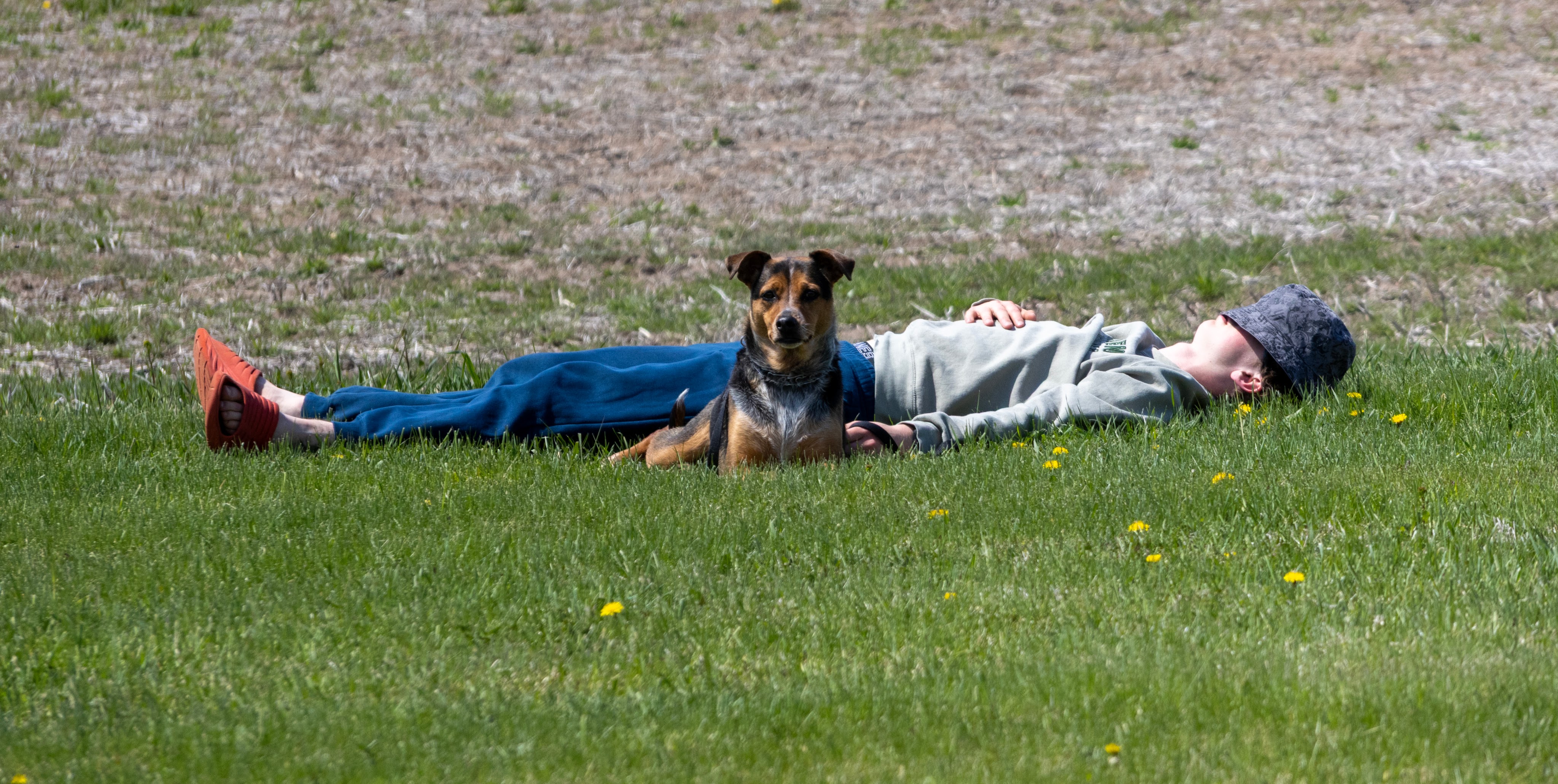 silent sports, granny's gravel grinder relaxing with dog
