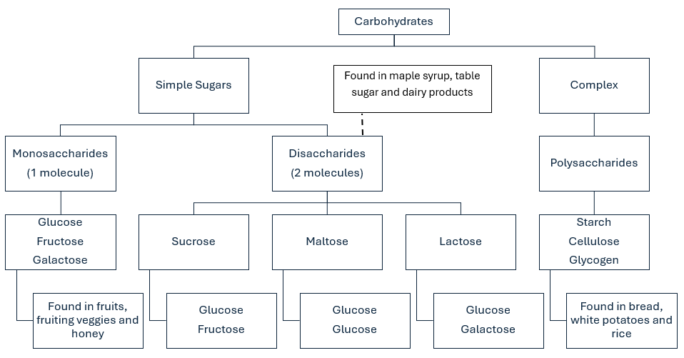 Silent sports carb chart